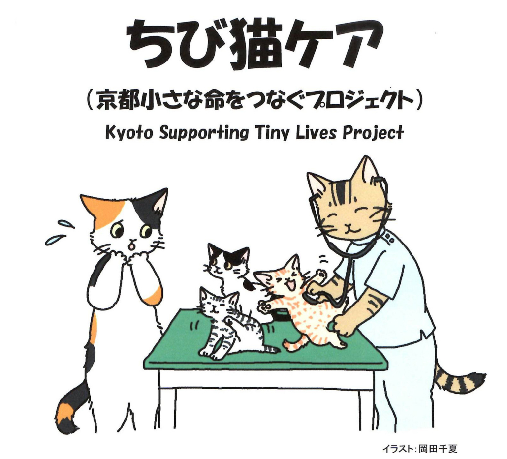 ちび猫ケア基金